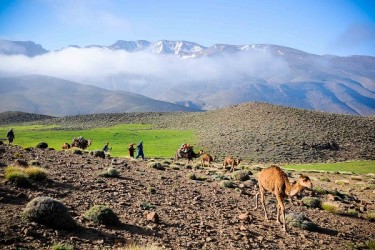 Excursion 2-Jours à Ouarzazate