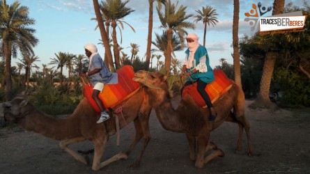 Quad y Paseo en Camello al atardecer