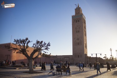 Promenade en Calèche à Marrakech